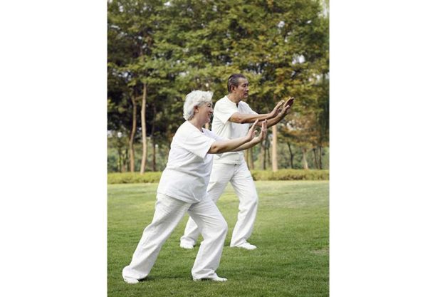 Senior couple practising tai chi in the park Senior couple practising tai chi in the park