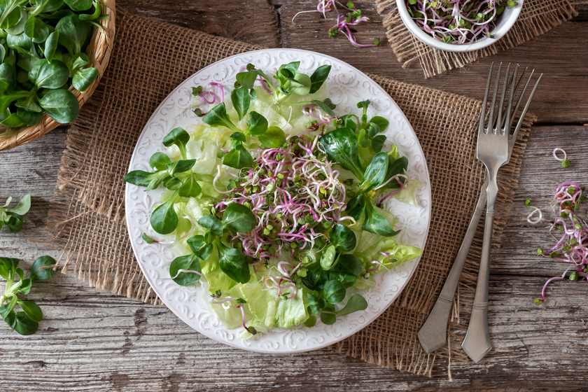 Salad with lamb’s lettuce and fresh radish sprouts Salad with