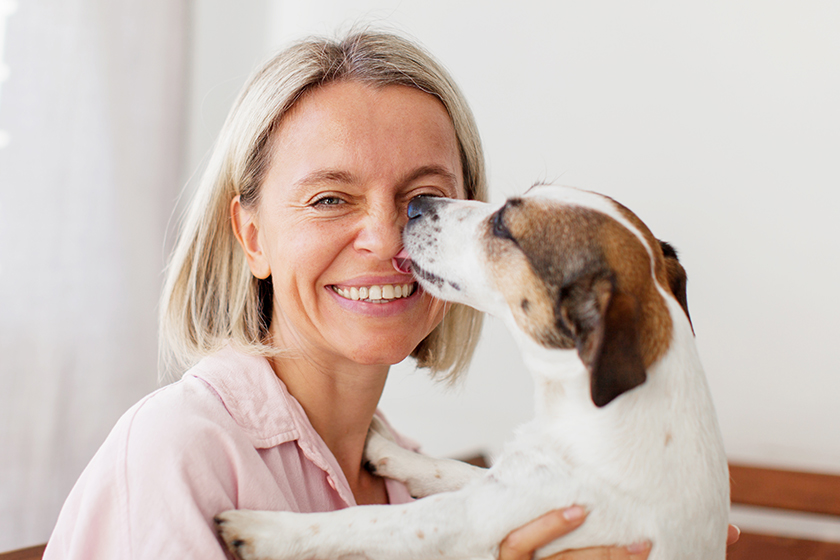 Happy woman is having fun with her Jack Russell terrier dog Happy woman is having fun with her Jack Russell terrier dog