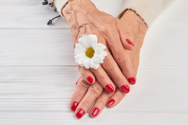 Little white chrysanthemum and female hands. Little white chrysanthemum and female hands.