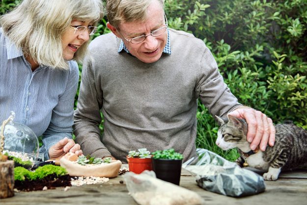 11 Brain-Boosting Activities For Improving Your Cognitive Function At Memory Care In Pennsylvania 11 Brain-Boosting Activities For Improving Your Cognitive Function At Memory Care In Pennsylvania