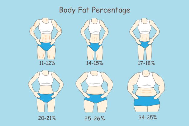 Cartoon about body fat percentage Cartoon about body fat percentage