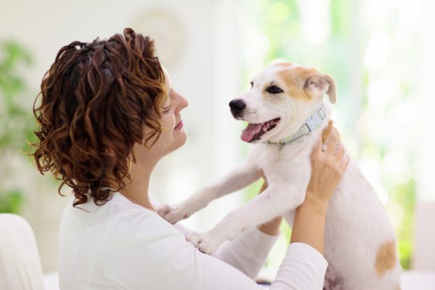 Woman playing with dog. Puppy and owner.