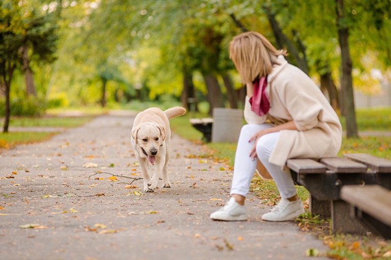 A young woman sits on a bench in the park