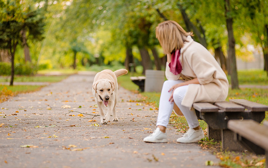 A young woman sits on a bench in the park