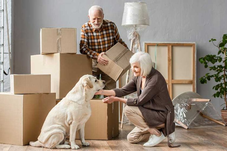 Senior woman petting dog in new house while husband holding cardboard box