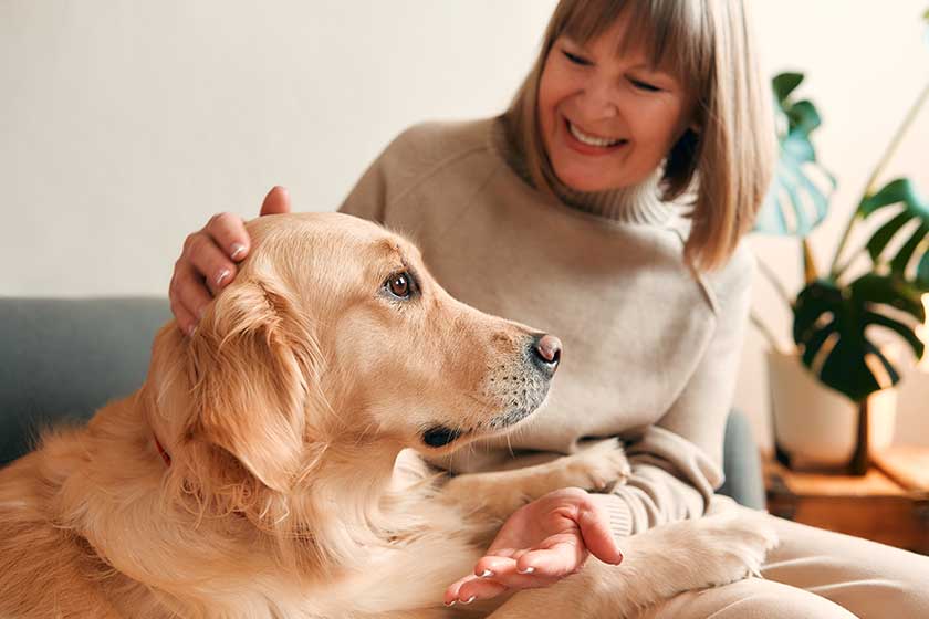 Beautiful aged woman sitting on sofa with her dog in cozy living room and having fun. Beautiful aged woman sitting on sofa with her dog in cozy living room and having fun.