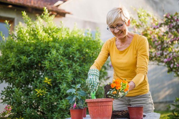 Happy senior woman gardening in her yard. She is planting flowers Happy senior woman gardening in her yard. She is planting flowers