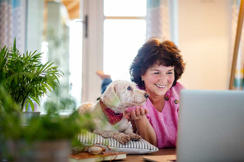 Senior woman with dog and laptop at home, relaxing