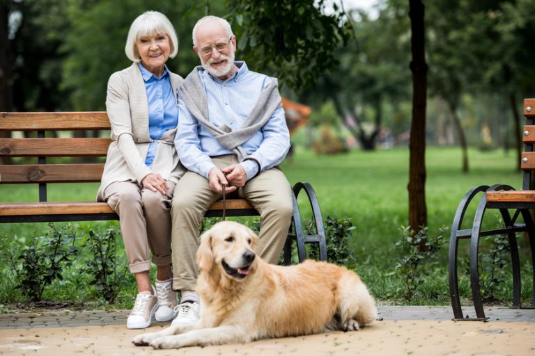 Happy senior couple sitting on wooden bunch and adorable golden retriever dog lying nearby — Photo