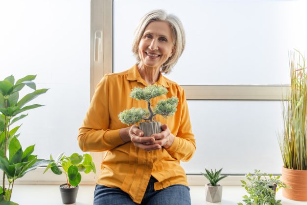 Closeup, senior woman holding bonsai tree, caring to home flower pot at balcony. Attractive pensioner growing plant, handmade. Home hobby concept — Photo