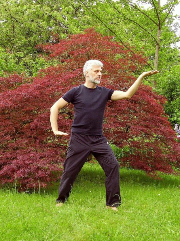 tai-chi-taiji-qigong